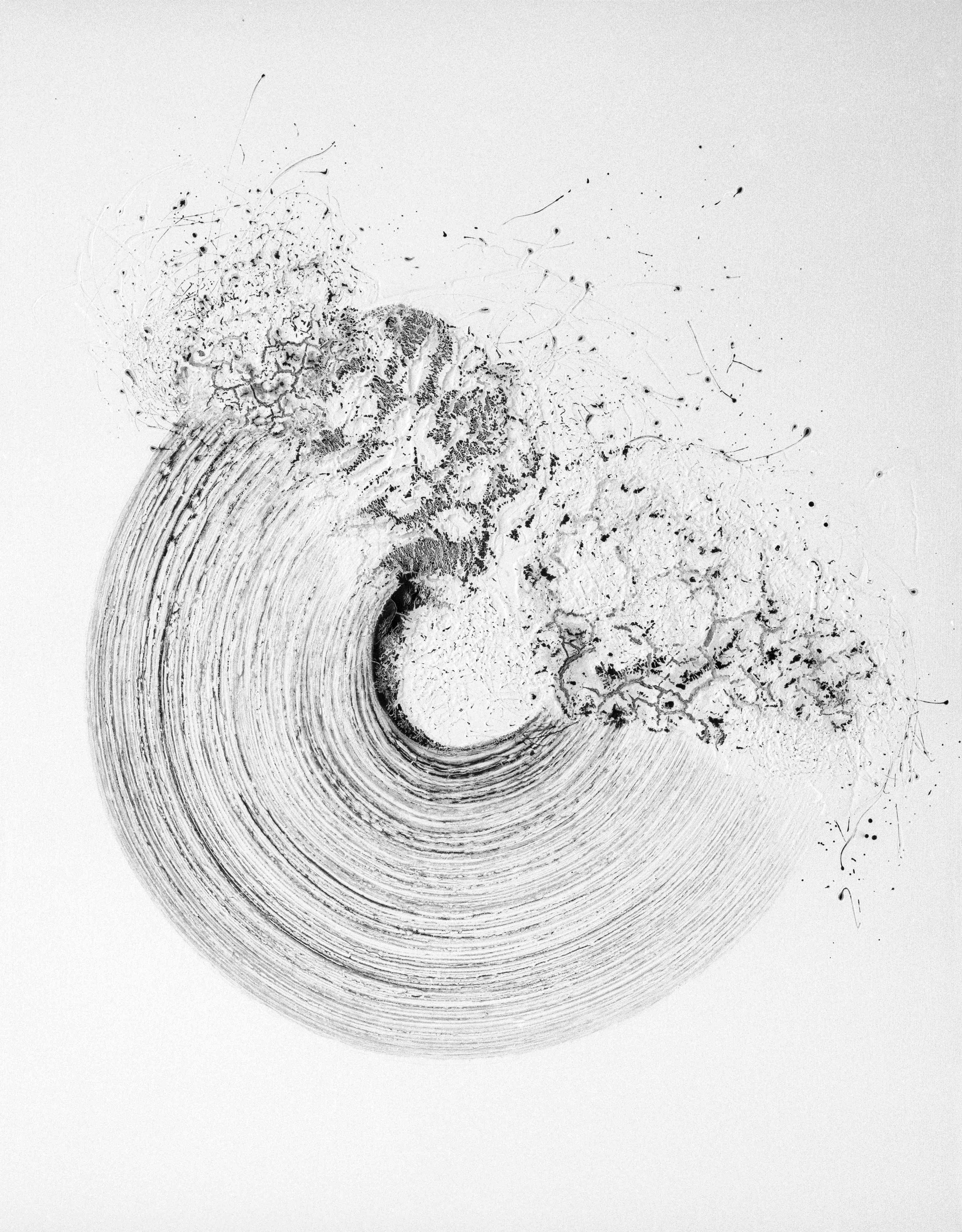 Mouvement Pigment Mouvement Pigment